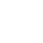 professional locksmiths